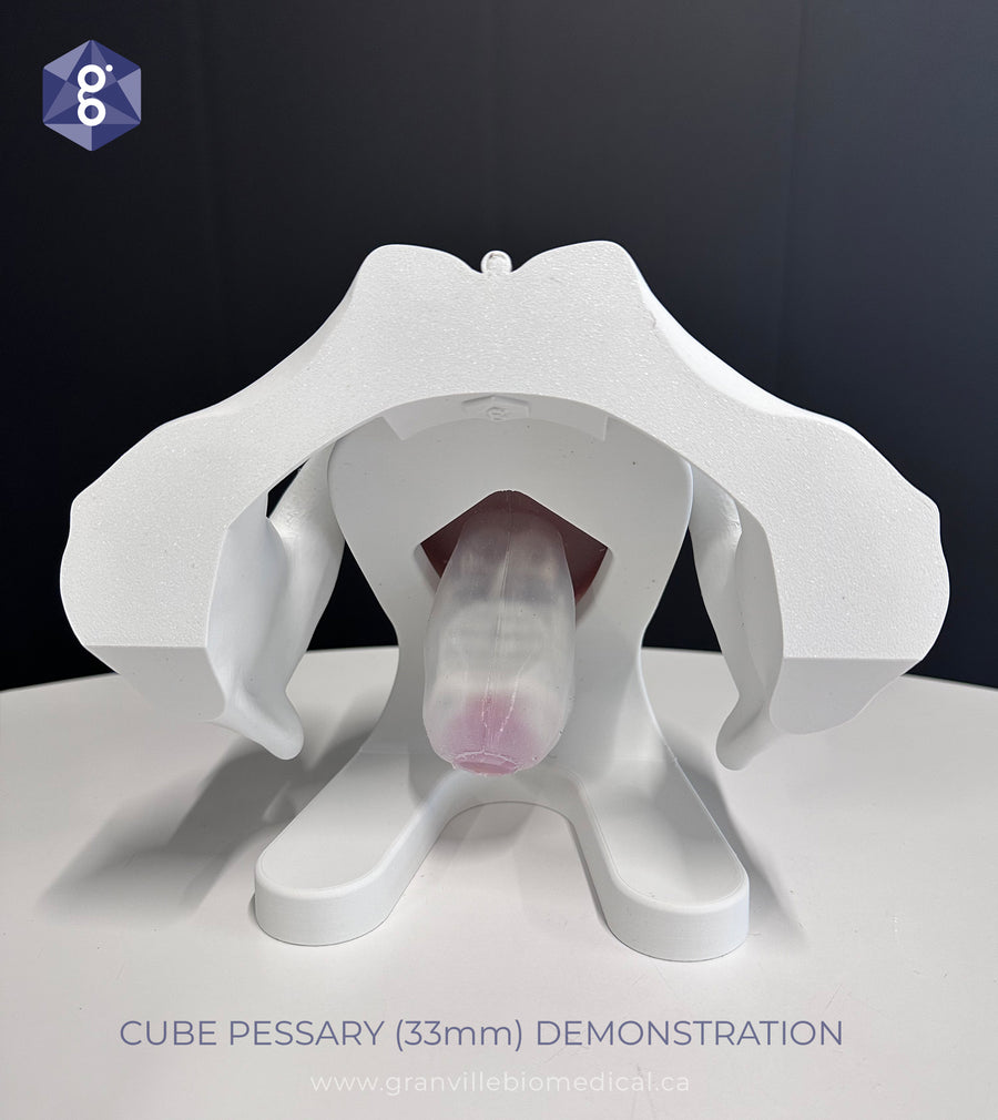 Iris - Pessary & Device Demonstration Model