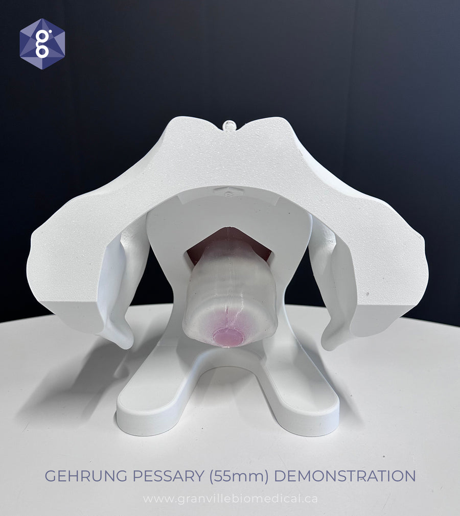 Iris - Pessary & Device Demonstration Model