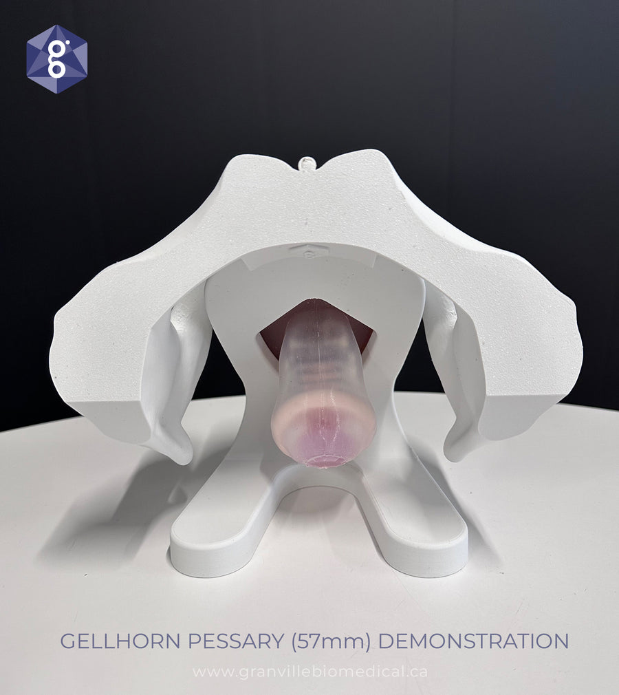 Iris - Pessary & Device Demonstration Model