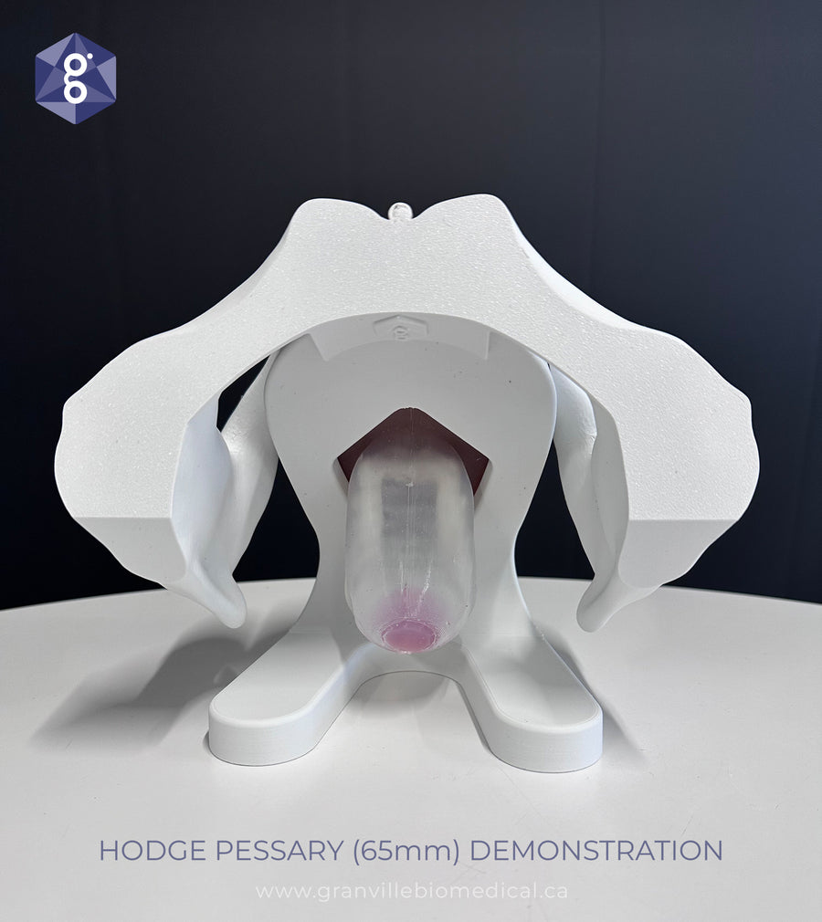 Iris - Pessary & Device Demonstration Model