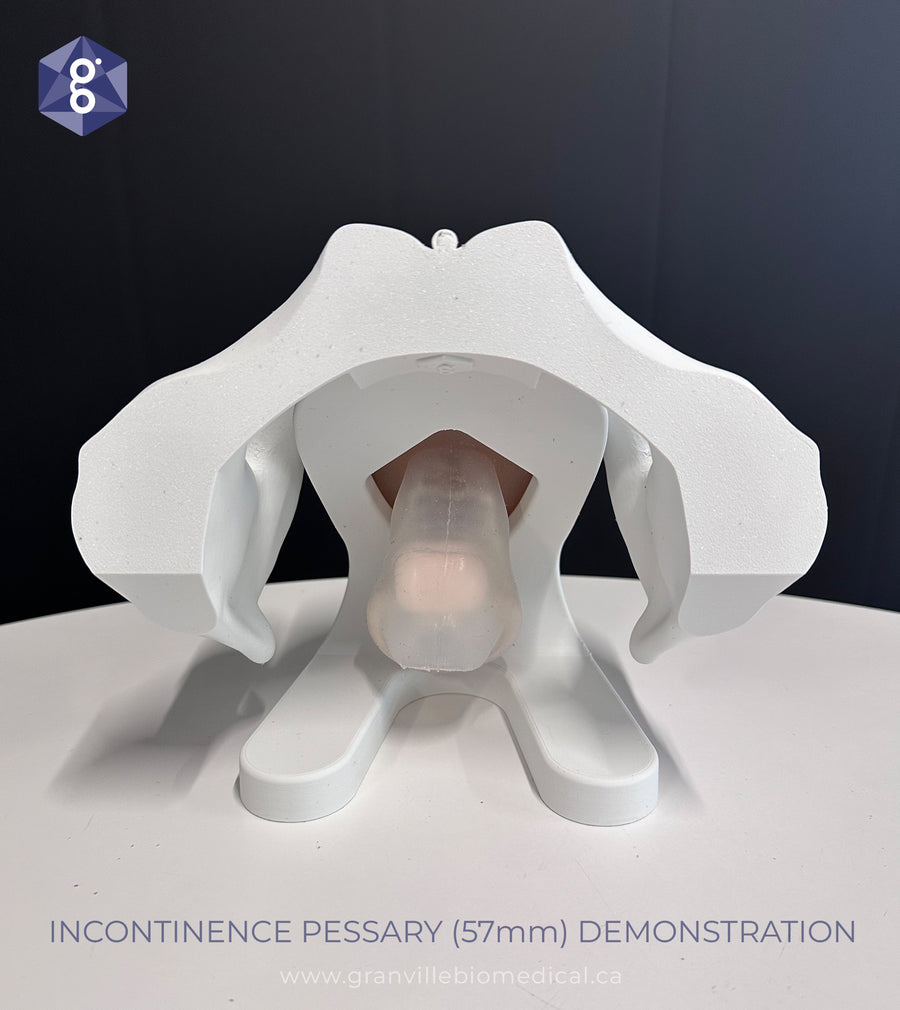 Iris - Pessary & Device Demonstration Model