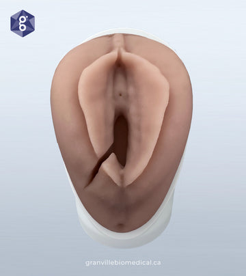 PeriSim - Maternal Suturing Skills Training Model