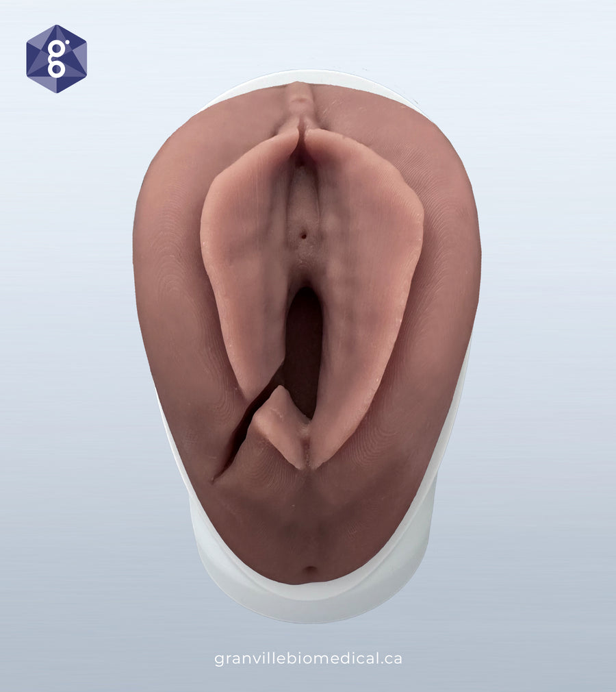 PeriSim :: Suturing Rehearsal Anatomical Model